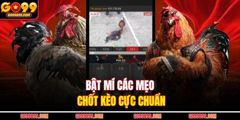 Bật mí các mẹo chốt kèo cực chuẩn