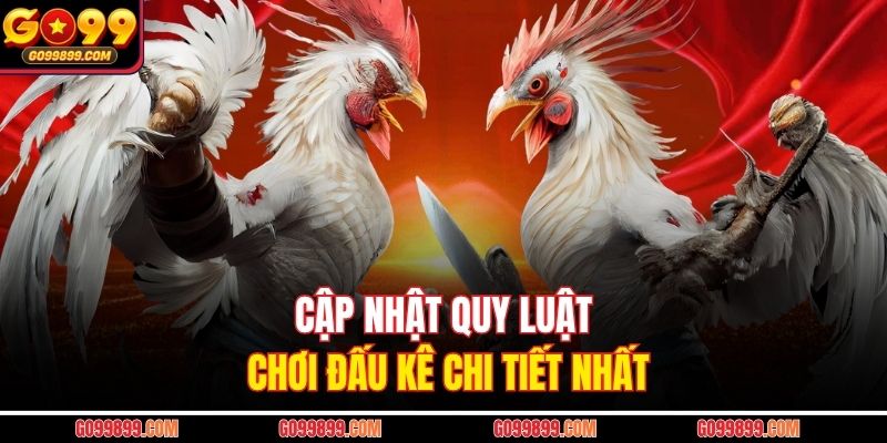 Cập nhật quy luật chơi đấu kê chi tiết nhất