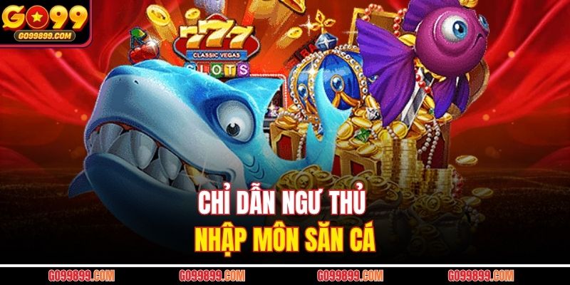 Chỉ dẫn ngư thủ nhập môn săn cá
