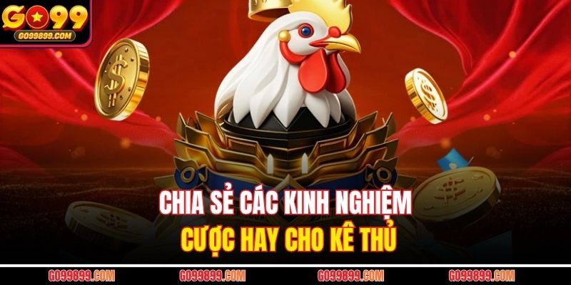 Chia sẻ các kinh nghiệm cược hay cho kê thủ