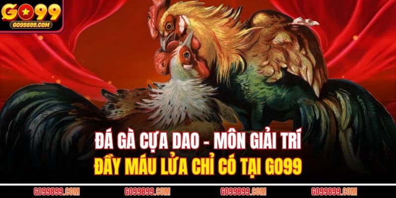 Đá Gà Cựa Dao – Môn Giải Trí Đầy Máu Lửa Chỉ Có Tại GO99