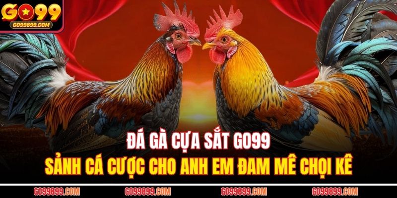 Đá Gà Cựa Sắt GO99 – Sảnh Cá Cược Cho Anh Em Đam Mê Chọi Kê