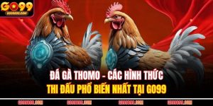 Đá Gà Thomo – Các Hình Thức Thi Đấu Phổ Biến Nhất Tại GO99