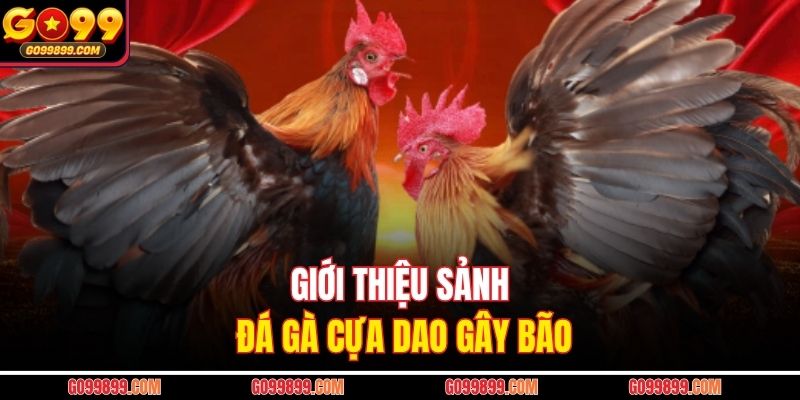 Giới thiệu sảnh đá gà cựa dao gây bão