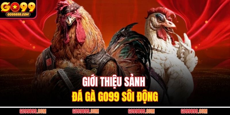 Giới thiệu sảnh đá gà GO99 sôi động