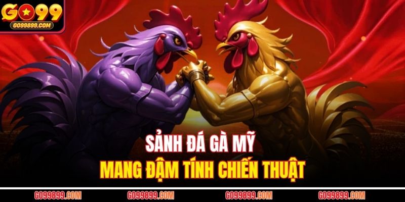 Sảnh đá gà Mỹ mang đậm tính chiến thuật