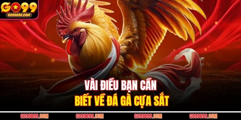 Vài điều bạn cần biết về đá gà cựa sắt